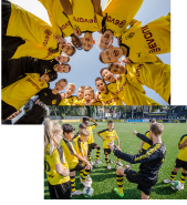 DSA�C���[�W