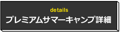 プレミアムサマーキャンプ詳細