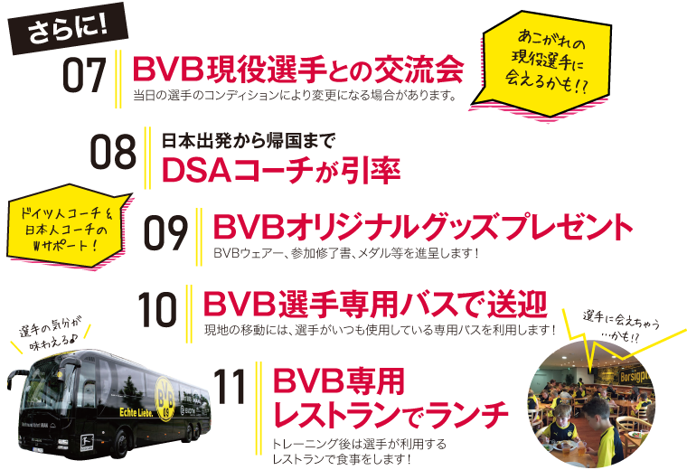 ���ǂ���̓��e