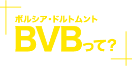 BVB���āH