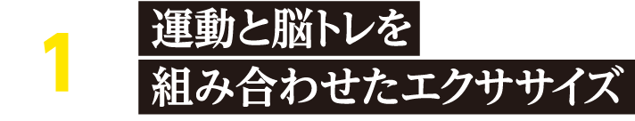 �^���Ɣ]�g����g�ݍ��킹���G�N�T�T�C�Y