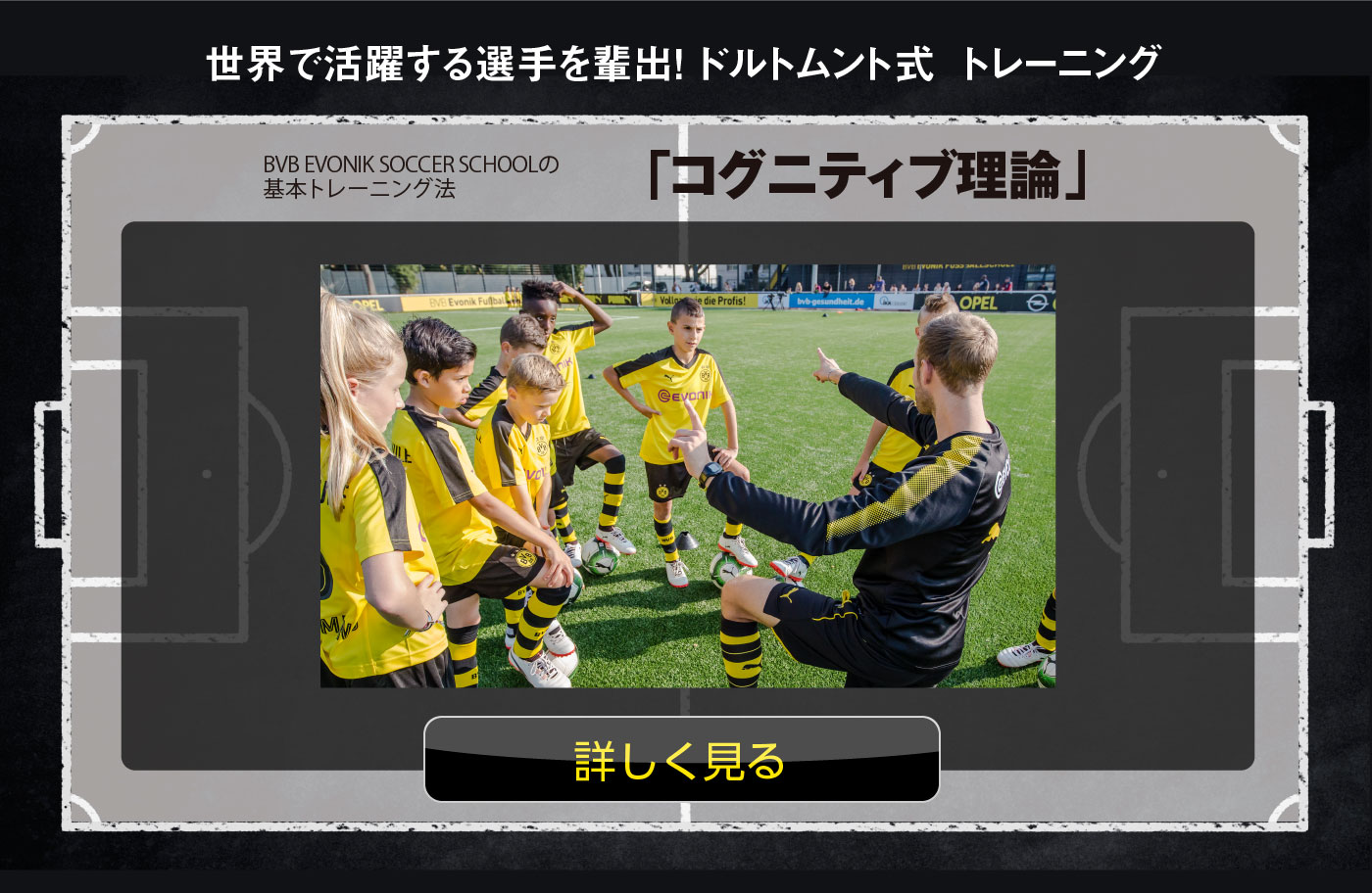 コグニティブ理論詳細